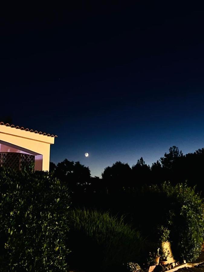 Ferienwohnung I Giardini Dell'Agave Torre Santa Sabina Exterior foto