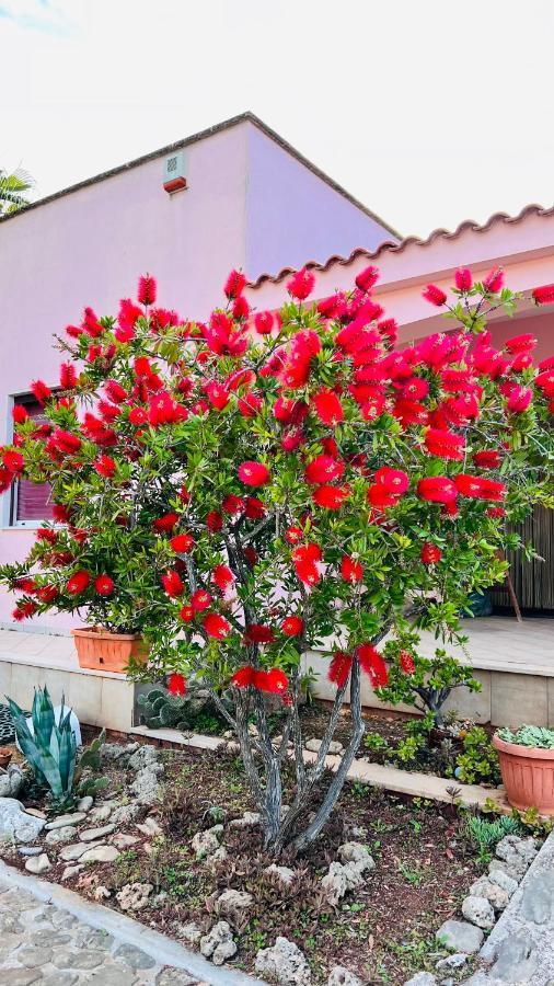 Ferienwohnung I Giardini Dell'Agave Torre Santa Sabina Exterior foto